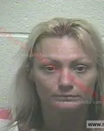 Booking photo of Kimberly Elizabeth Christianson, Giles County, Aug 27, 2015