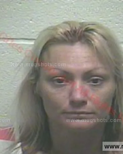 Booking photo of Kimberly Elizabeth Christianson, Giles County, Aug 27, 2015