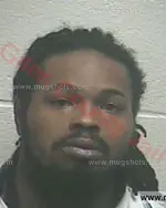 Booking photo of William Lee Boykins, Giles County, Apr 16, 2016