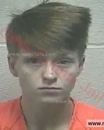 Booking photo of Natasha Delaine Johnson, Giles County, Aug 14, 2017