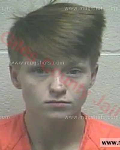 Booking photo of Natasha Delaine Johnson, Giles County, Aug 14, 2017