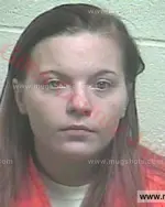 Booking photo of Terry Lynn Gray, Giles County, Aug 11, 2016