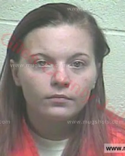 Booking photo of Terry Lynn Gray, Giles County, Aug 11, 2016