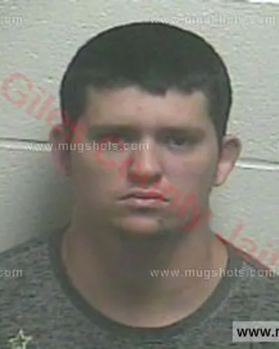 Booking photo of Tristen Heffley, Giles County, Jun 20, 2016