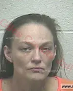 Booking photo of Amanda Danyle Brown, Giles County, Jan 18, 2017