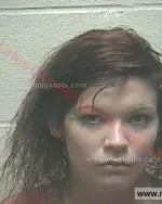 Booking photo of Carolyn Jean Holder, Giles County, Aug 25, 2015