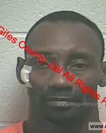 Booking photo of Gregory Tremaine Davis, Giles County, Dec 25, 2018