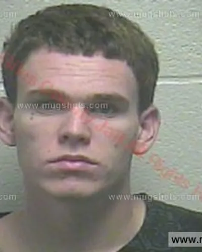 Booking photo of Devin D Davis, Giles County, Aug 25, 2015