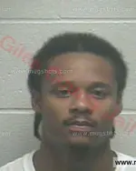 Booking photo of Treadence Lee Howard, Giles County, May 26, 2017