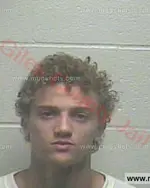 Booking photo of Derico Sharon Brown, Giles County, Sep 26, 2015