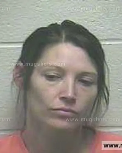 Booking photo of Ginger Michelle Johnson, Giles County, Jul 8, 2015