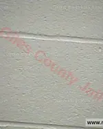 Booking photo of Kimberly Leann Toone, Giles County, Apr 16, 2016