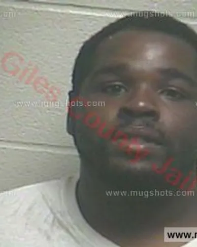 Booking photo of William Jamal Mcelroy, Giles County, Aug 12, 2016