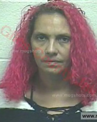 Booking photo of Beatrice Diane Brown, Giles County, Oct 27, 2017