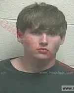 Booking photo of Preston Wayne Townsend, Giles County, May 31, 2016