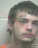 Booking photo of Hiley Dakota Titus II, Giles County, Jul 28, 2017