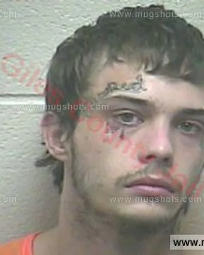 Booking photo of Hiley Dakota Titus II, Giles County, Jul 28, 2017