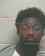 Booking photo of Novodny Bikel Young, Giles County, Mar 10, 2018