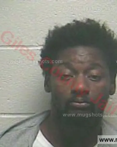 Booking photo of Novodny Bikel Young, Giles County, Mar 10, 2018