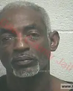 Booking photo of Ceylon Bryan Braswell, Giles County, Jun 21, 2017