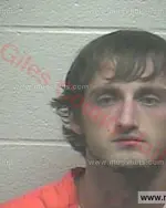 Booking photo of Kelsey Taylor Walls, Giles County, Dec 7, 2016