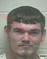 Booking photo of Kacey Lee Nickens, Giles County, Aug 25, 2017