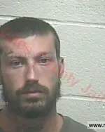 Booking photo of Austin Lee Woods, Giles County, Jun 6, 2016