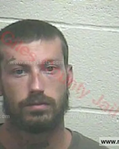 Booking photo of Austin Lee Woods, Giles County, Jun 6, 2016