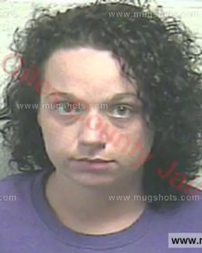 Booking photo of AMANDA DAWN DALTON, Giles County, Oct 28, 2015