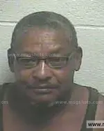 Booking photo of Clarence Eldridge Nelson, Giles County, Jul 19, 2013