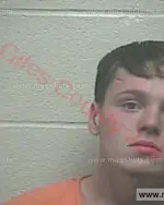 Booking photo of Nathan Patrick Sutton, Giles County, Dec 10, 2016