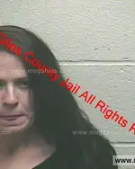 Booking photo of Heather Brook Forshey, Giles County, Feb 7, 2020