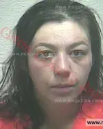 Booking photo of Erica Ann Mccrary, Giles County, Jan 25, 2017