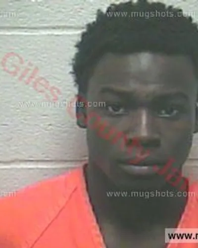 Booking photo of Jordan Crook, Giles County, Apr 6, 2018