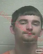 Booking photo of Justin Dale Gray, Giles County, Nov 12, 2016