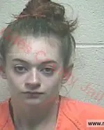 Booking photo of Jessica Nichole Fralix, Giles County, Jul 8, 2018