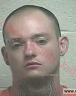 Booking photo of Michael Wayne Alexander Polly, Giles County, Jun 14, 2017