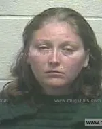 Booking photo of Shannon Nicole Johnson, Giles County, Sep 27, 2014
