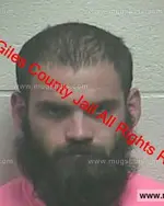 Booking photo of ROGER L HICKS, Giles County, Apr 3, 2019