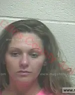 Booking photo of Shamblee Annette Chandler, Giles County, Apr 15, 2016