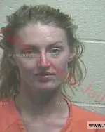 Booking photo of Elaine Marie Stahl, Giles County, Apr 6, 2016
