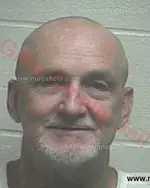 Booking photo of Noah Christopher Russ, Giles County, Jun 9, 2016