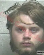 Booking photo of Israel Lindon Webb, Giles County, Aug 10, 2017