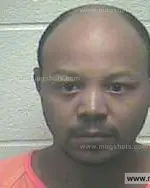 Booking photo of Nicholas Jerome Nelson, Giles County, Apr 2, 2015