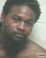 Booking photo of William M Reynolds Jr., Giles County, Aug 2, 2016