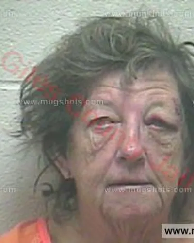 Most recent booking photo for Belinda Gayle Collins