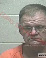 Booking photo of Frankie Lavon Adkins, Giles County, Nov 2, 2017