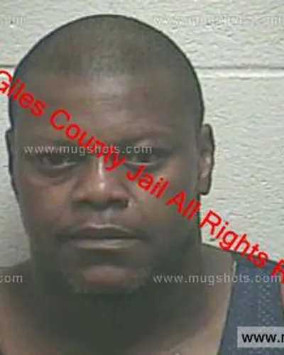 Booking photo of Ashley Reynolds, Giles County, Sep 27, 2019