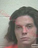 Booking photo of Heather Marie Evans, Giles County, Jul 24, 2017