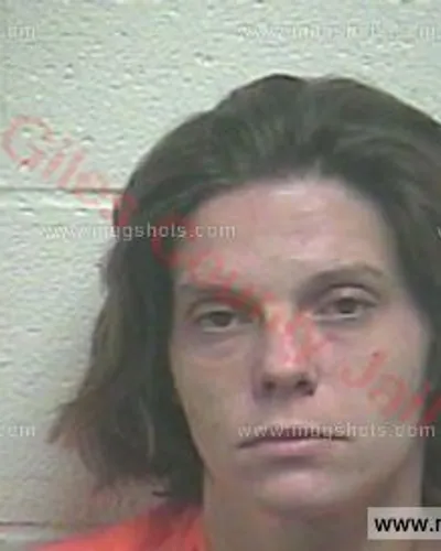 Booking photo of Heather Marie Evans, Giles County, Jul 24, 2017